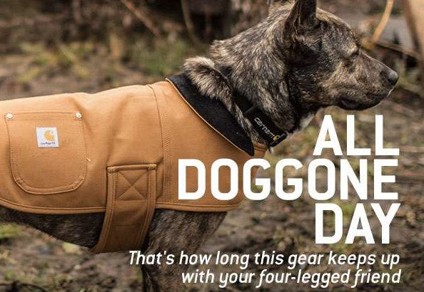 Carhartt Dog Range - would you believe it......?