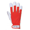 Tergsus Glove