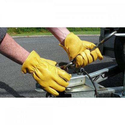 Classic Driver Glove