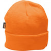Insulatex Knit Cap