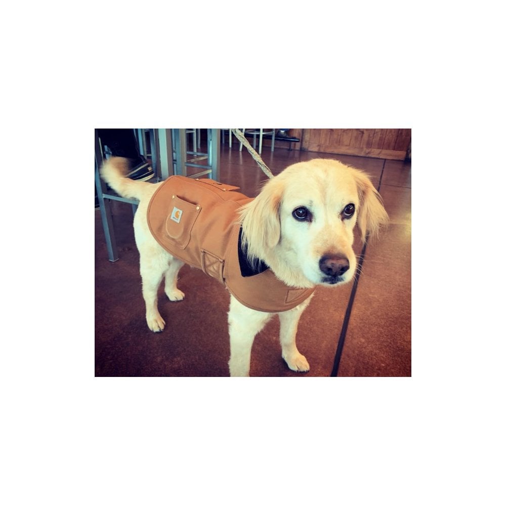 P000340 Dog Chore Coat