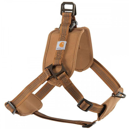 P000341 Training Harness