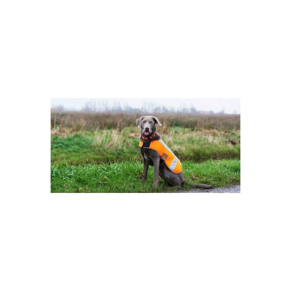 P000342 Dog Safety Vest