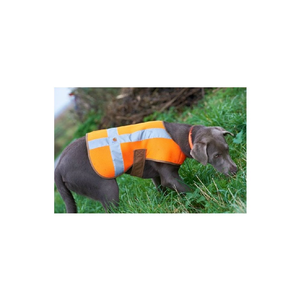 P000342 Dog Safety Vest