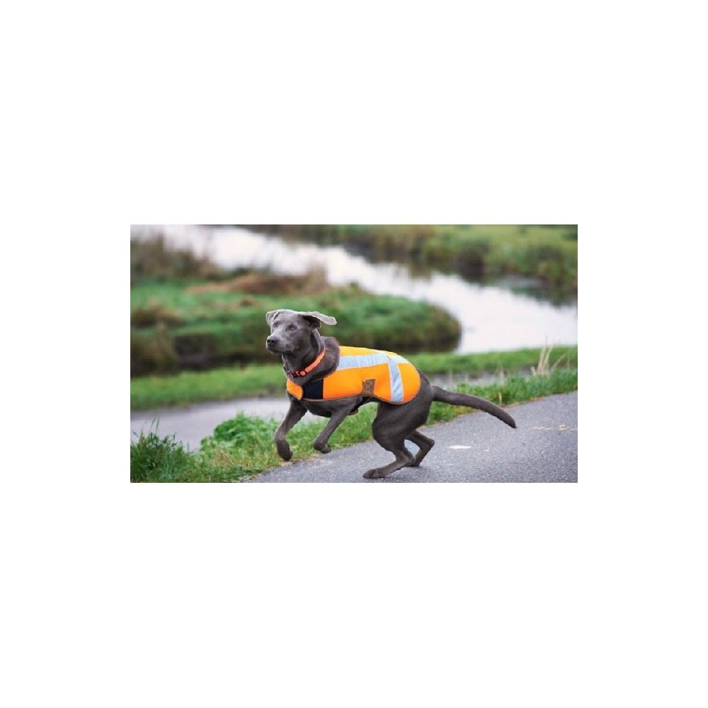 P000342 Dog Safety Vest