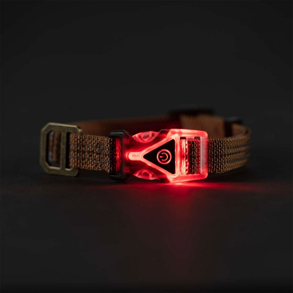 P000345 Lighted Collar