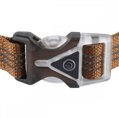 P000345 Lighted Collar