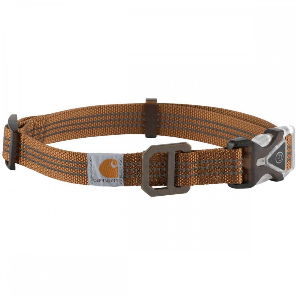 P000345 Lighted Collar