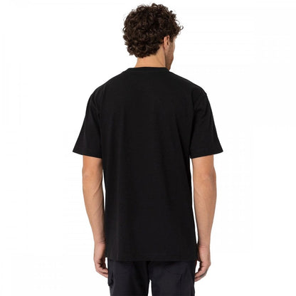 Dickies SS Logo Graphic T-Shirt 2