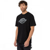 Dickies SS Logo Graphic T-Shirt 2