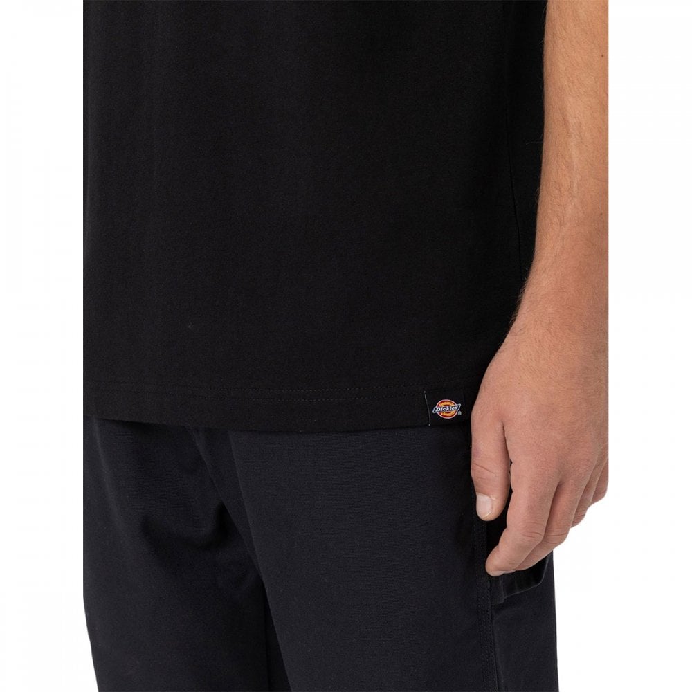 Dickies SS Logo Graphic T-Shirt 2