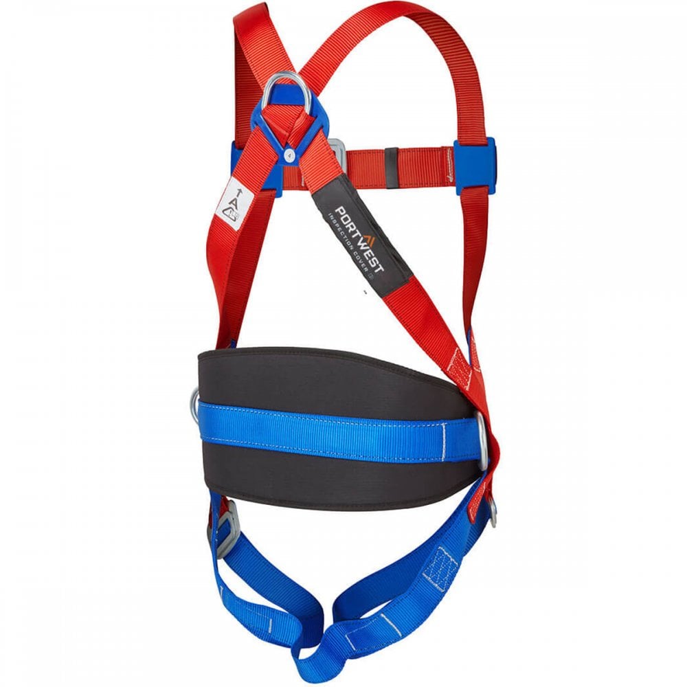 3-Point Harness