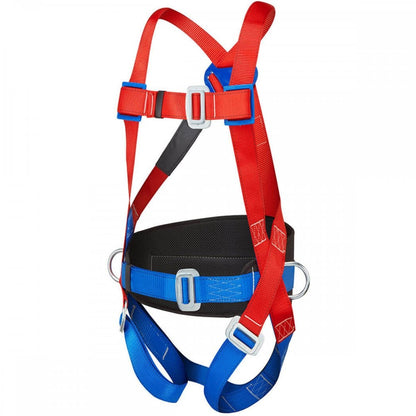 3-Point Harness