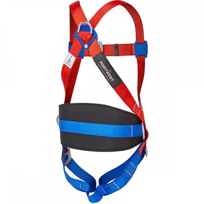 3-Point Harness