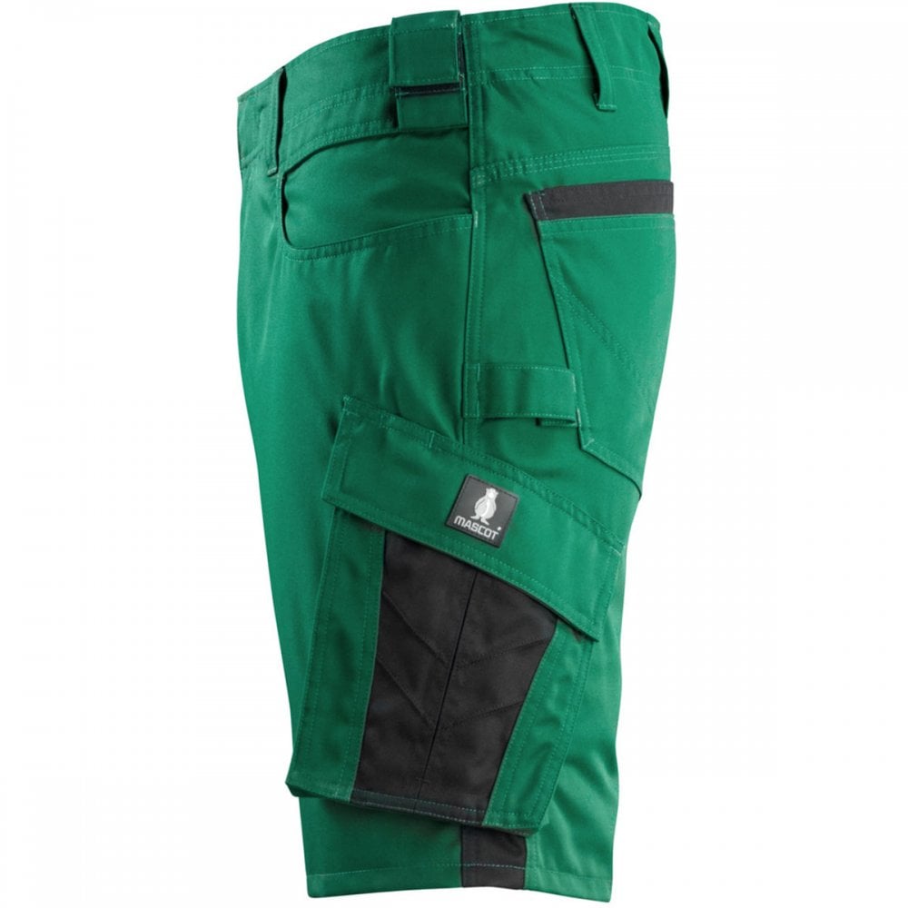 12049 Shorts