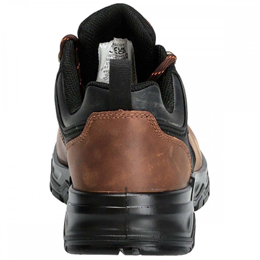 F1001 S3S Safety Shoe