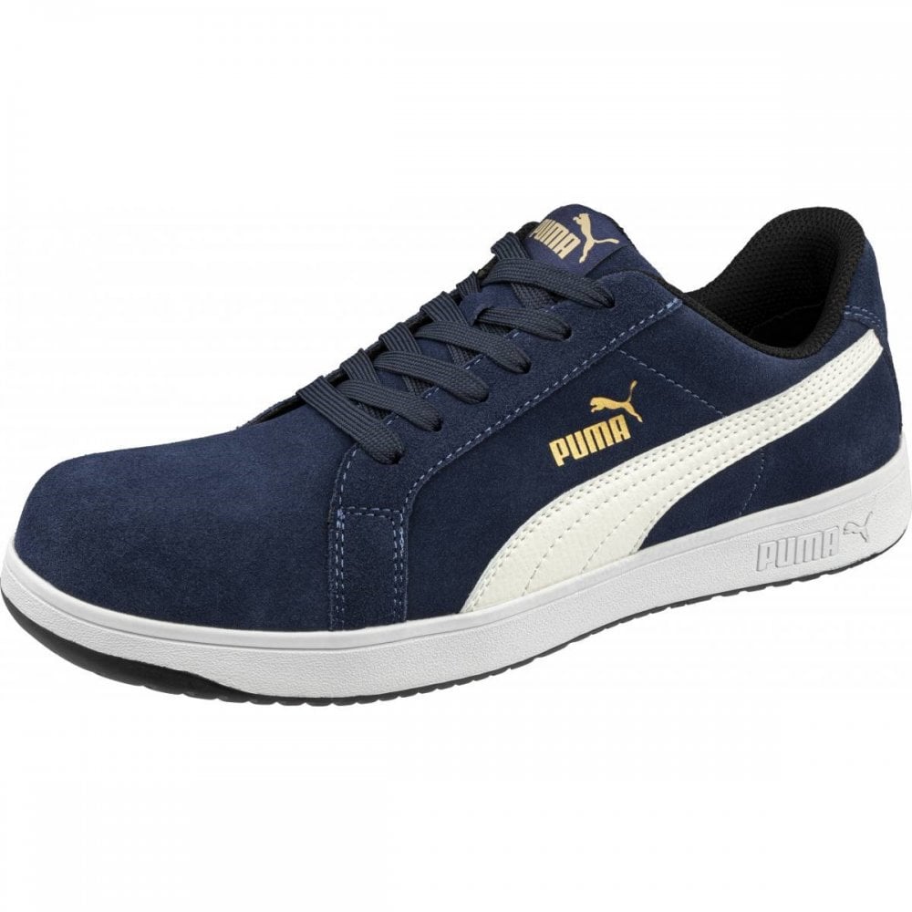 640010 Iconic Low Safety Shoes