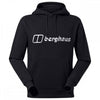 Mens Logo Hoody