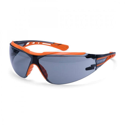 PS10 Dynamic KN Safety Glasses